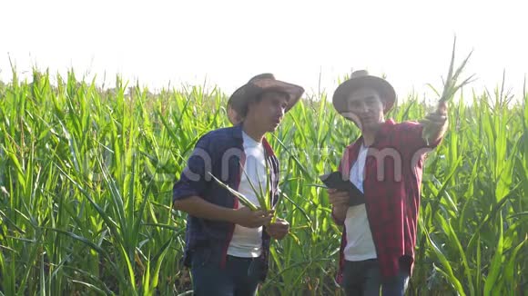 团队合作智能养殖概念慢动作视频两名男子农艺师持有数码平板电脑触摸板电脑的生活方式视频的预览图