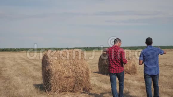 团队农业智慧农业理念两个男的农民工人在田野的干草堆上散步研究生活方式视频的预览图