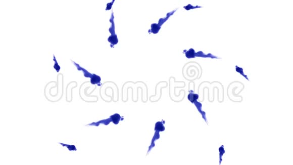 头顶拍摄的孤立的蓝色墨水在白色上形成一个圆圈蓝色染料混合在水中并在缓慢的运动中移动用途视频的预览图