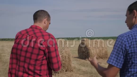 团队农业智慧农业理念两个男人的农民在数字技术上的田野上漫步在干草堆上视频的预览图