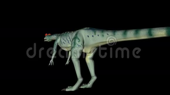 黑色背景下360度旋转恐龙动画视频的预览图