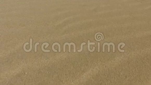 沙漠沙丘沙粒科拉莱霍自然公园福尔特文图拉加那利群岛视频的预览图