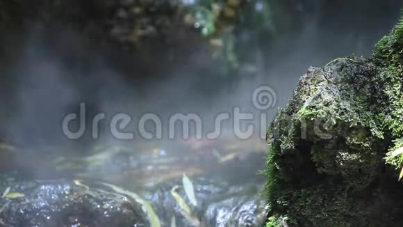 晨雾蒸园中飞瀑视频的预览图