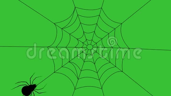 大蜘蛛从蜘蛛网的4个角落来视频的预览图