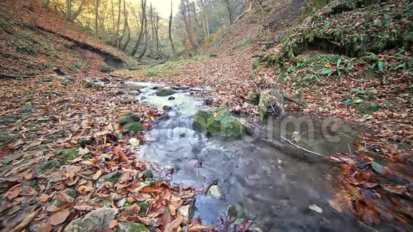 高加索山脉森林河流湖泊附近视频的预览图