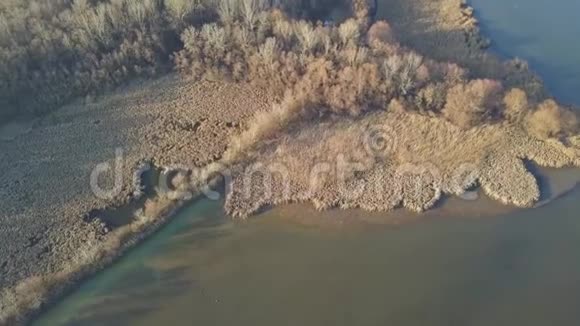 湖滨秋景视频的预览图