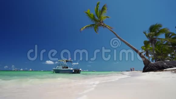 热带海滩暑假多米尼加共和国蓬塔卡纳视频的预览图
