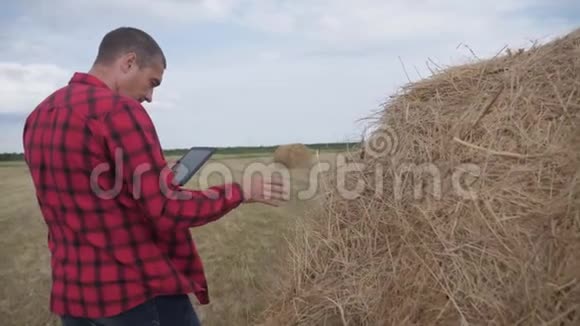 智慧农业理念一个农夫在一块数字平板电脑上的田野里研究干草堆慢速视频视频的预览图