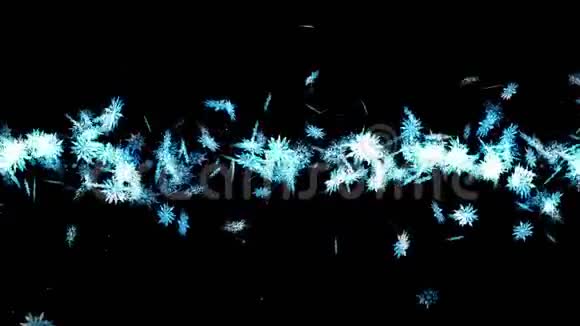 冬雪晶莹落下黑色背景上美丽的雪效果圣诞节CG雪花循环动画视频的预览图