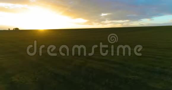 在阳光明媚的夏季傍晚飞行在乡村夏日景观之上有着无尽的黄色田野秋季农业农田视频的预览图