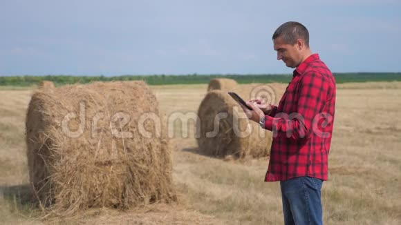 智慧农业理念一名农民工人在一个关于生活方式数字平板电脑的田野里研究干草堆慢慢视频的预览图