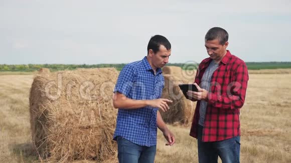 团队农业智慧农业理念在数字平板电脑上研究干草堆的两名男性农民视频的预览图