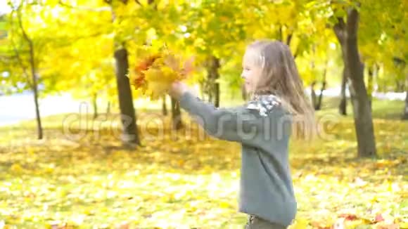 秋天带着黄叶花束的可爱小女孩的肖像视频的预览图