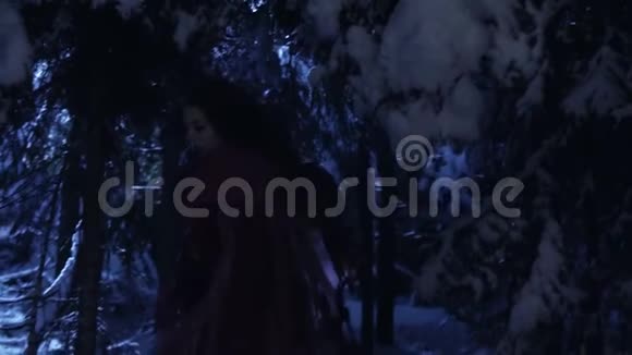 寂静的夜晚两个人在白雪皑皑的冬林中移动的黑暗轮廓视频的预览图