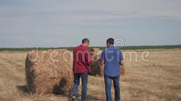 团队农业智慧农业理念两个男的农民工人在生活方式领域的干草堆上散步视频的预览图