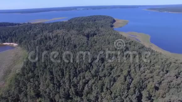 俄罗斯塞利格湖岛屿森林空中全景视频的预览图