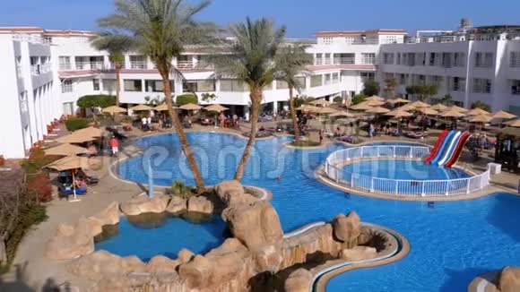 阳光酒店度假胜地在埃及设有豪华蓝色游泳池沙滩伞和日光浴床视频的预览图