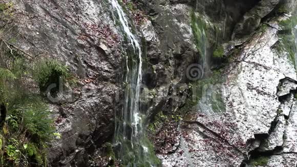 巴伐利亚的山瀑布视频的预览图