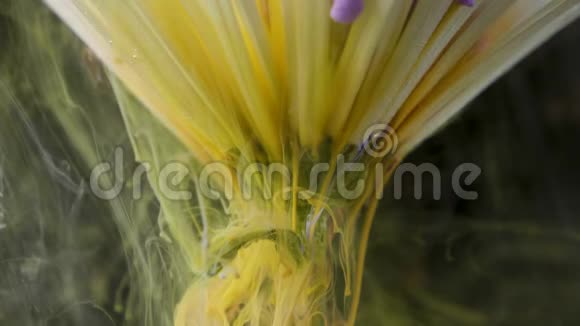 五颜六色的颜料墨水把一朵花注入水中视频的预览图