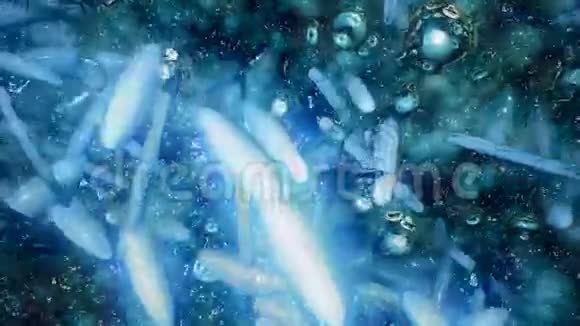蓝色的DNA螺旋视频的预览图