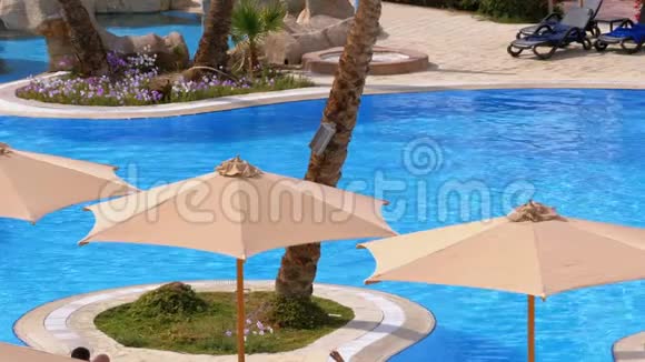 埃及酒店游泳池旁的太阳伞和蓝色的水视频的预览图