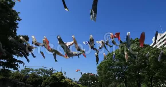 东京公园的鲤鱼流光白天阳光明媚视频的预览图