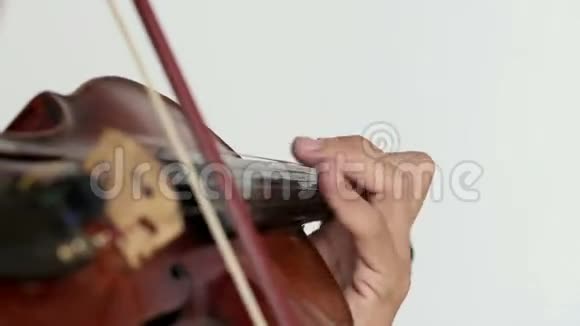 拉丁小提琴手男子白色背景视频的预览图