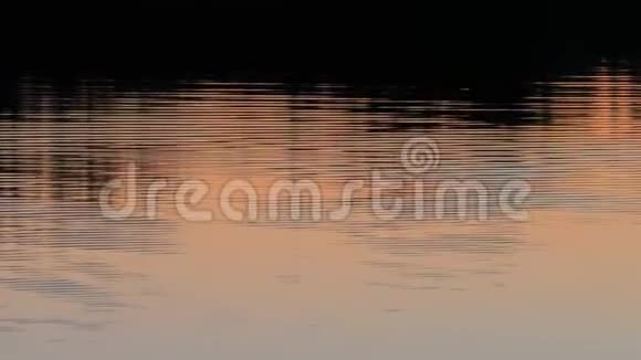 傍晚日落时背景水视频的预览图