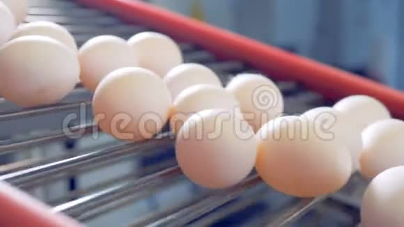 鸡蛋在传送带上移动视频的预览图