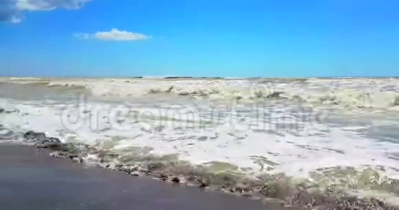 热带加勒比海沙滩金色沙滩度假放松视频的预览图