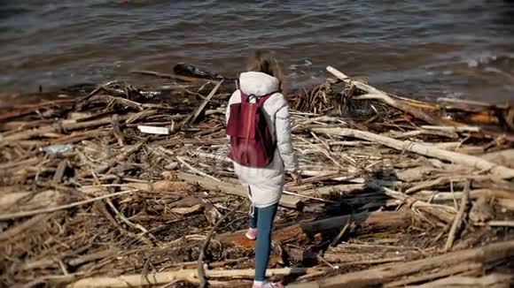 美丽的年轻女子沿着河岸散步收集干涸的树枝视频的预览图