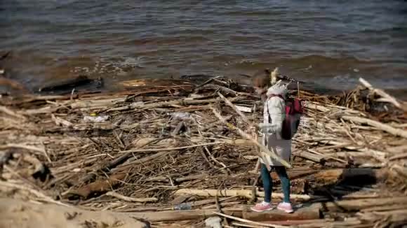 美丽的年轻女子沿着河岸散步收集干涸的树枝视频的预览图