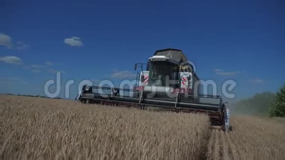 结合收割机切割生活方式小麦慢动作视频农业收获概念田间联合收割视频的预览图