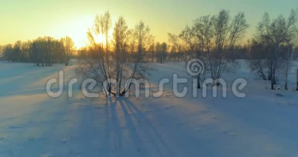 无人驾驶飞机观看寒冷的冬季景观北极的田野覆盖着霜雪的树木和清晨的阳光视频的预览图