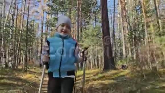 女人在大自然中行走北欧女孩和孩子使用跋涉棒和北欧杆背包家庭旅行视频的预览图