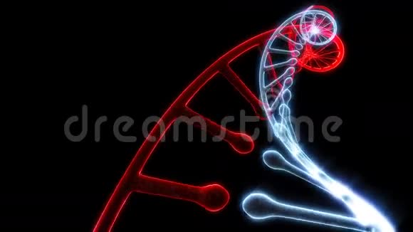 模型DNA在黑色上旋转能够循环无缝视频的预览图