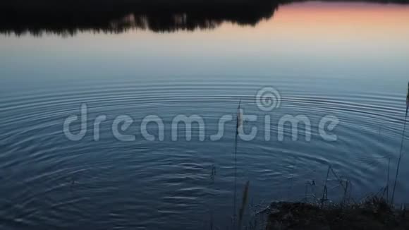 傍晚日落时背景水视频的预览图