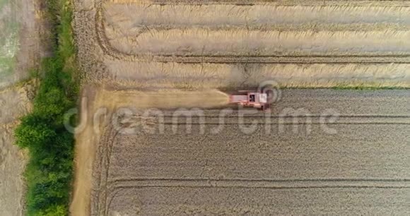 联合收割机收割农业麦田视频的预览图