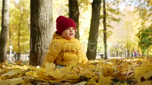 秋天在公园玩耍的快乐小男孩视频的预览图