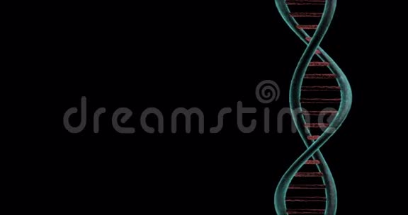 黑色背景下DNA回转链视频的预览图