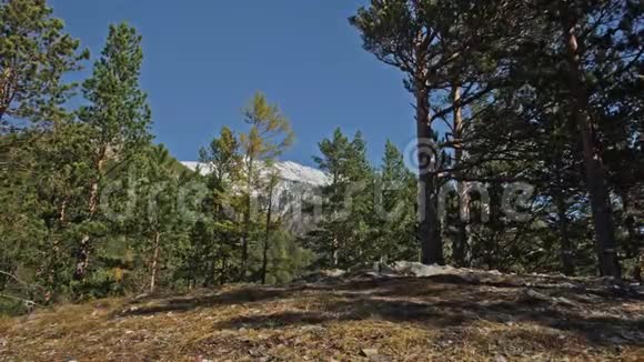 家庭旅行人的环境由山河溪组成父母和孩子用跋涉杆走路人与人视频的预览图