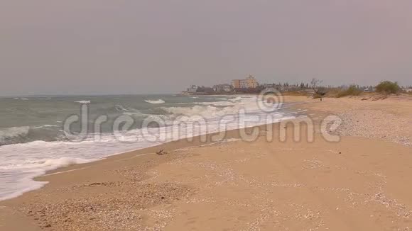 阳光明媚的夏日沙滩上的海浪视频的预览图
