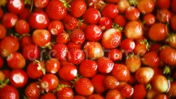有机天然新鲜成熟草莓的背景视频的预览图