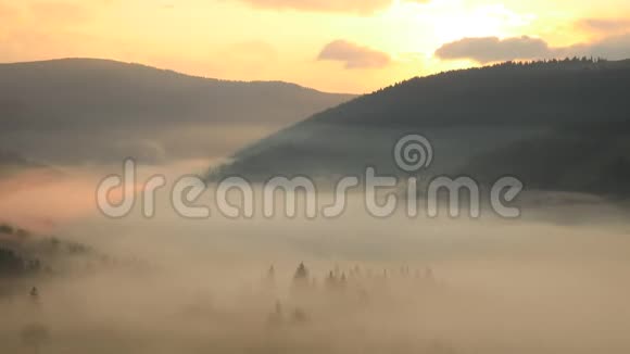 朦胧的黎明在山上美丽的秋景视频的预览图