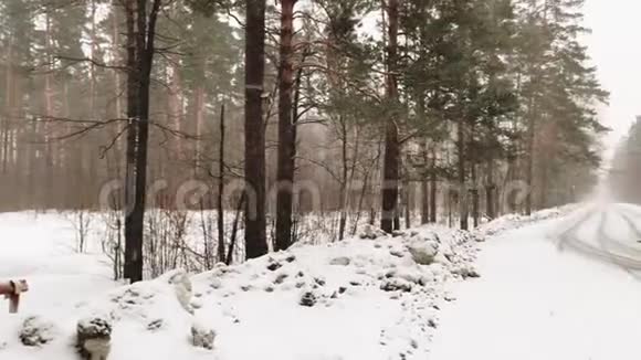 降雪时的冬季森林景观视频的预览图