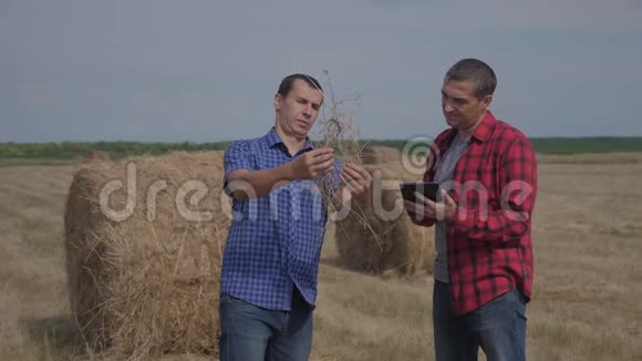 团队农业智慧农业理念生活方式两个男人农民工人在数字领域研究干草堆视频的预览图