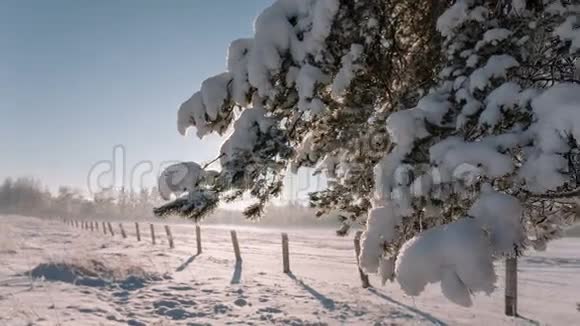 摄像机从左到右移动拍摄一幅有树枝和田野的冬季景观视频的预览图