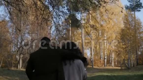 男人在公园拥抱女人视频的预览图