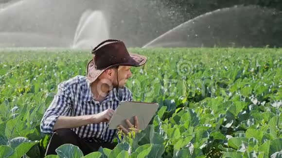 农民使用数字平板电脑监视他的种植园视频的预览图