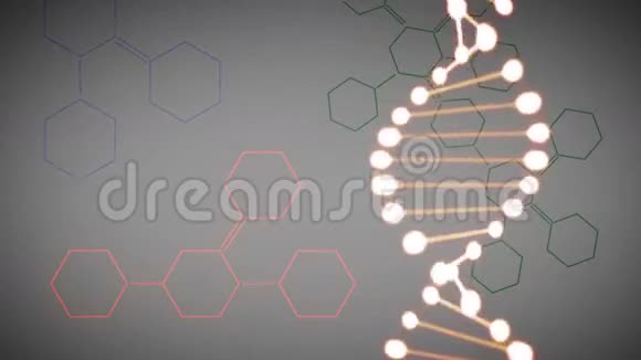 DNA和运动公式视频视频的预览图